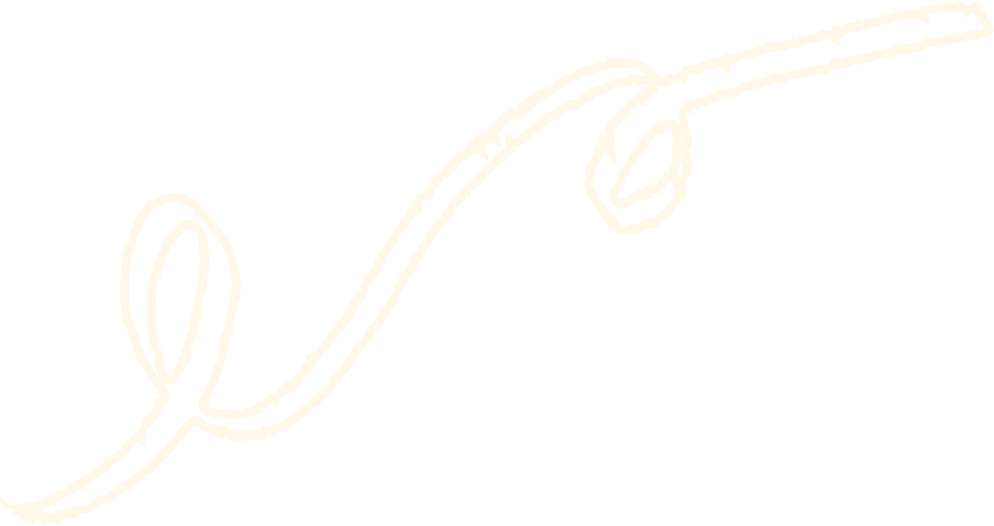 shape